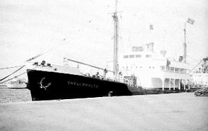 SHELLPHALTE 01